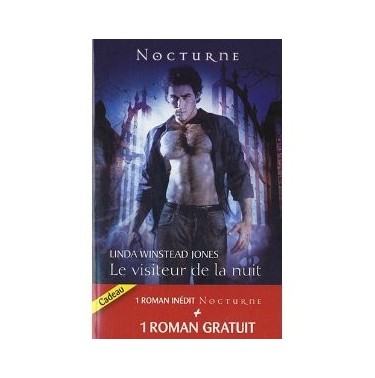 Le visiteur de la nuit