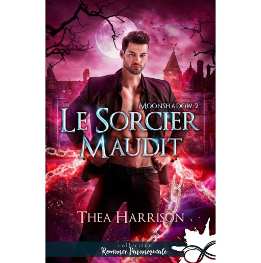 Moonshadow 2 Le sorcier maudit
